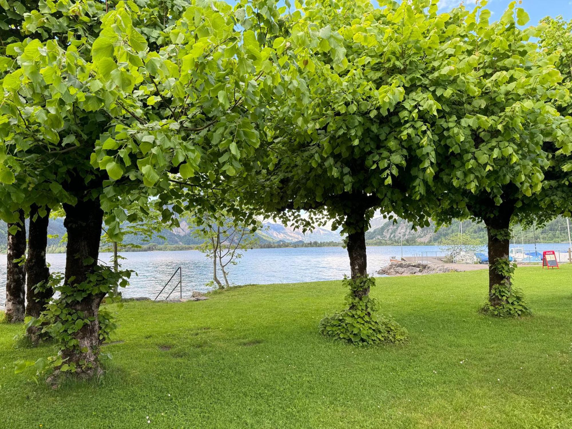 Family Room By Interlaken Parking Därligen Екстериор снимка